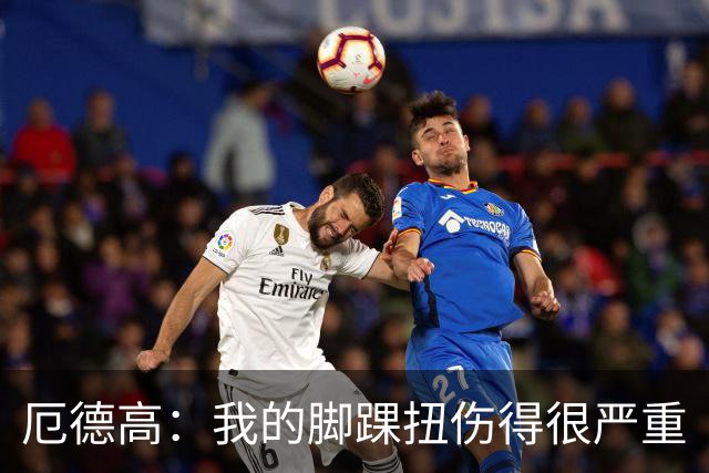 厄德高：我的脚踝扭伤得很严重