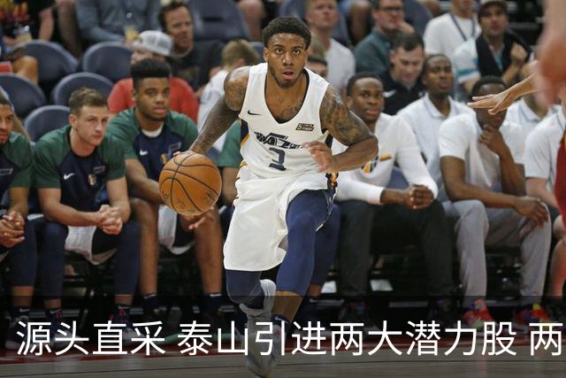 源头直采 泰山引进两大潜力股 两外援抵达济南